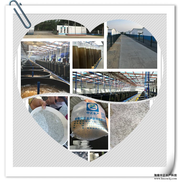 �f��: C:\Users\dell\Desktop\764359668_����1_����.jpg